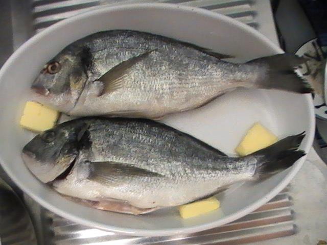 pestisoriii de aur - pic6079.JPG